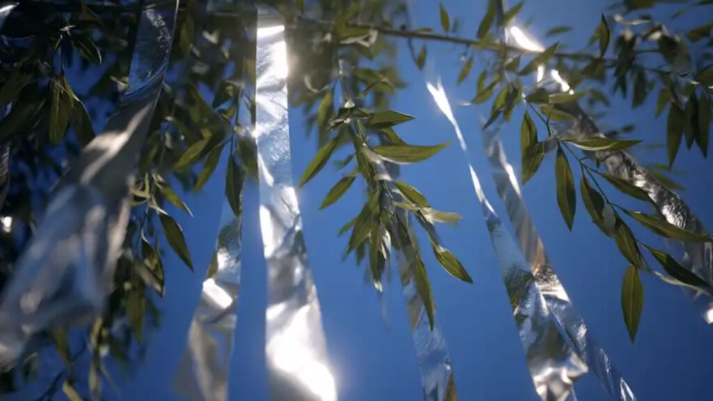 come tenere lontani i parassiti