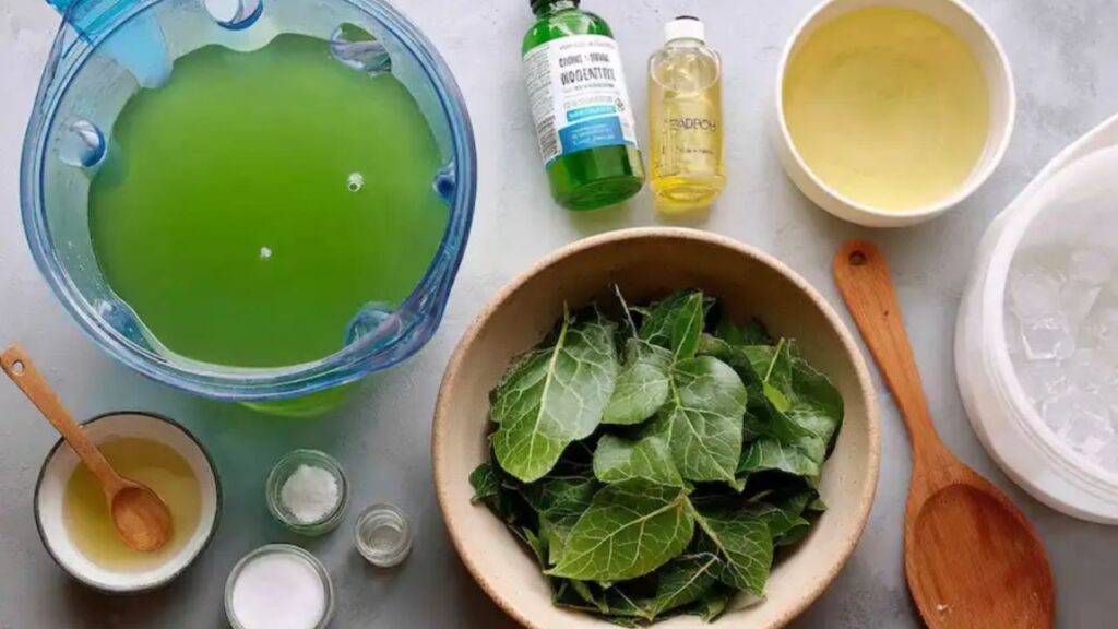 Come realizzare in casa un detersivo a base di foglie di Papaya