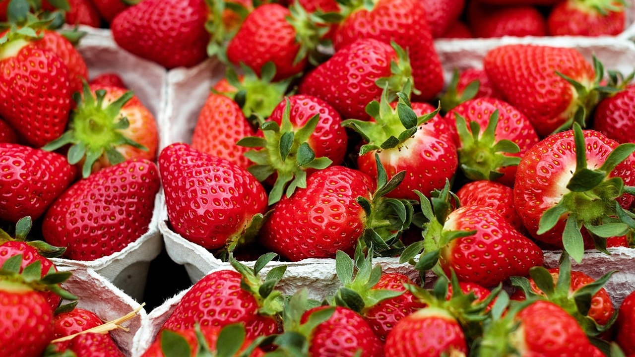 fragole frutta