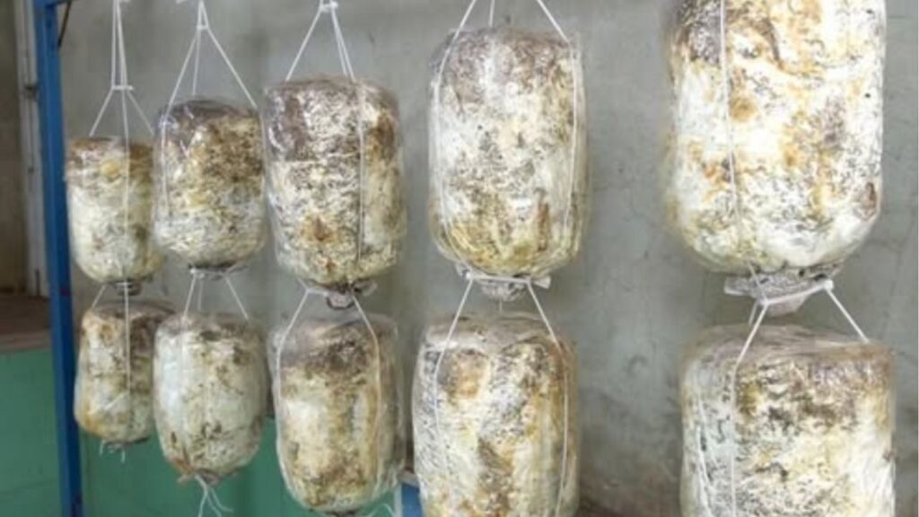 sacchetti in polietilene