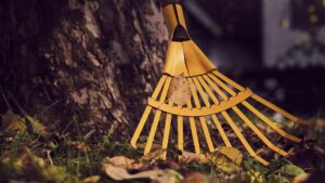Come preparare il giardino per l’autunno?