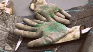 Guanti da giardinaggio: quali caratteristiche devono avere?