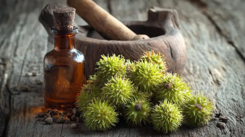 impieghi casalinghi del liquidambar americano