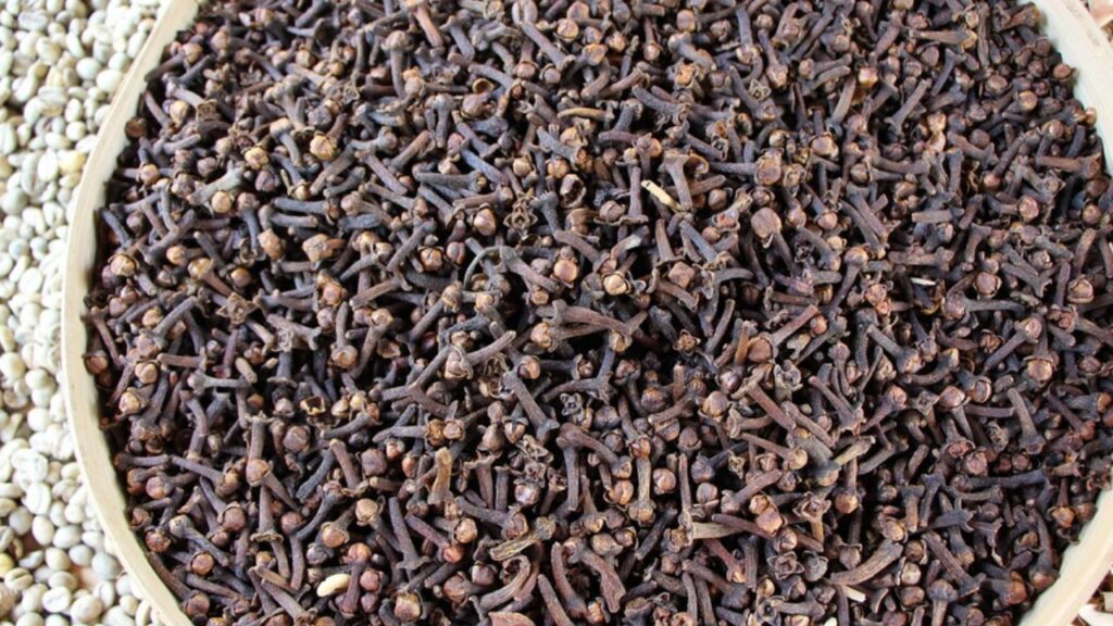 semi marroni e di forma allungata