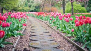 Le regole da seguire quando si progetta un nuovo giardino