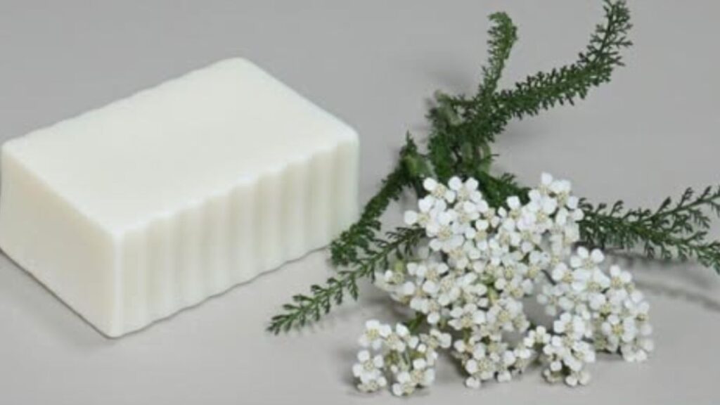 Sapone all’achillea fai-da-te: naturale, sano e privo di additivi chimici