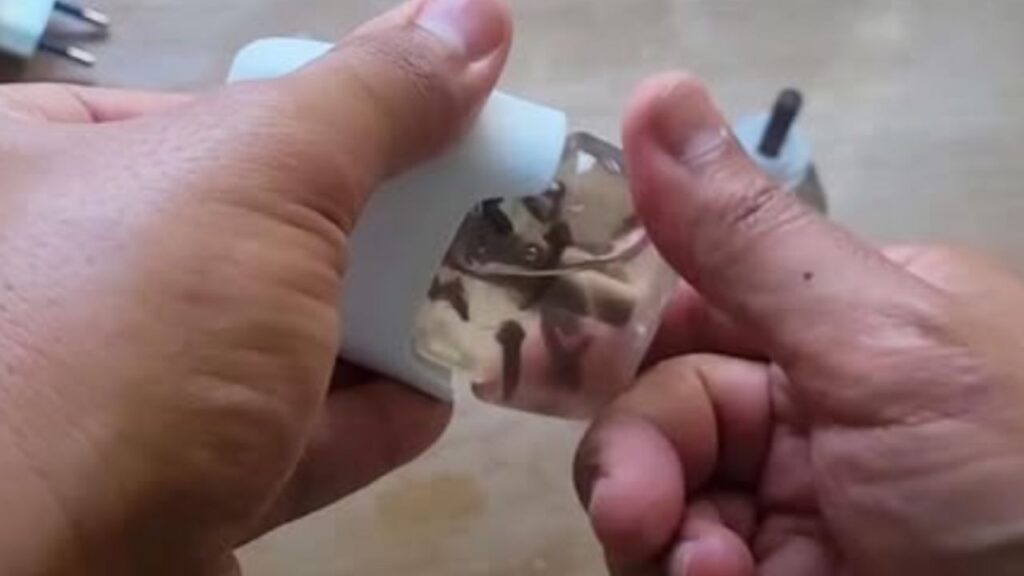 metodo che allontana le zanzare