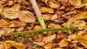 Miti sul giardinaggio autunnale da sfatare