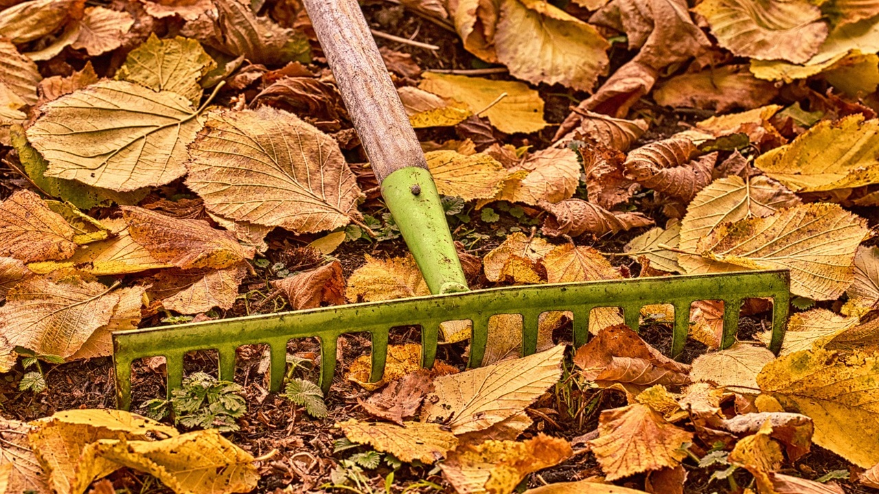 giardinaggio autunnale