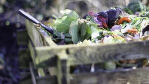 Guida al compost in autunno: cosa fare e cosa non fare
