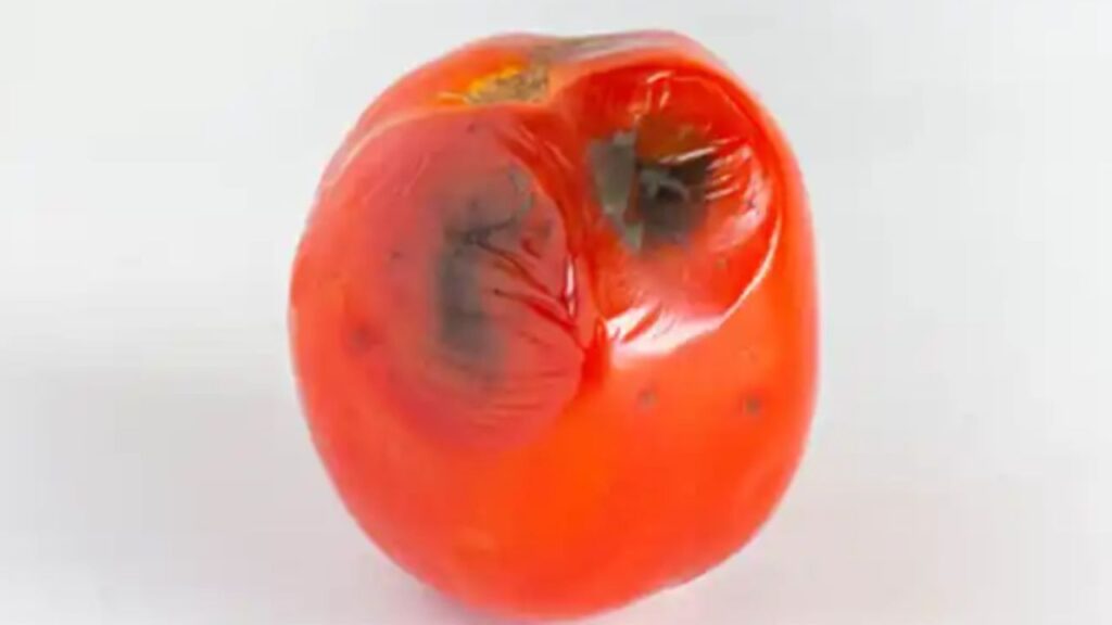 piccolo pomodoro