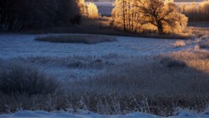 Come evitare che in inverno il prato si trasformi in un disastro paludoso