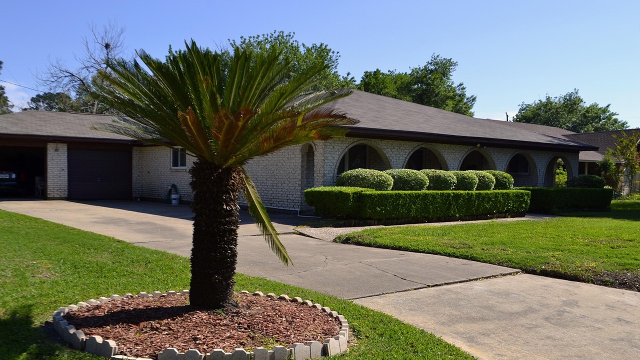 vialetto giardino sporco