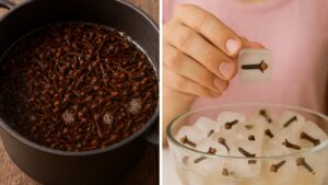 Ghiaccio ai chiodi di garofano: il rituale di bellezza che sta spopolando