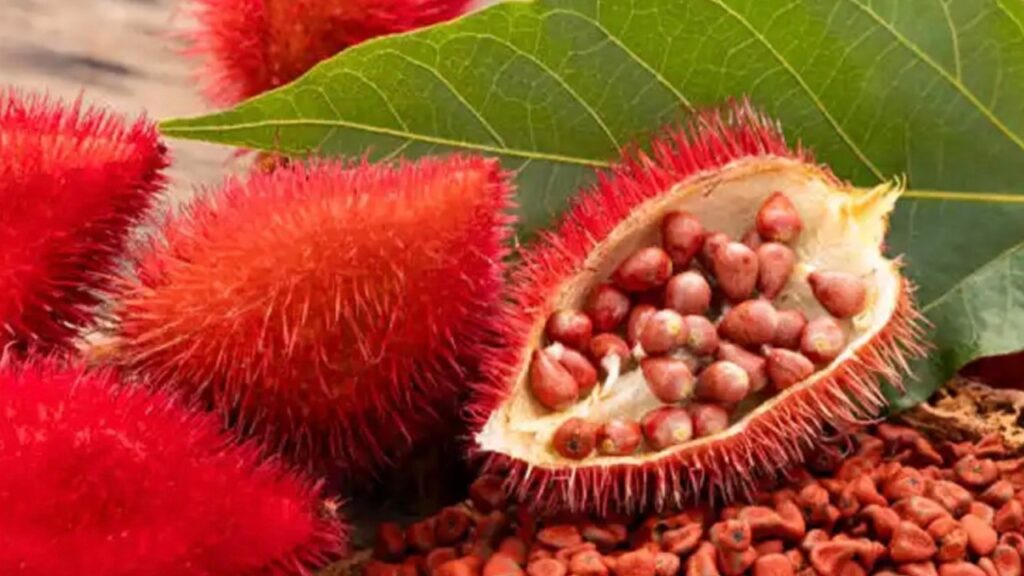 Piccoli semi rossastri