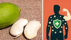 Non buttare più i semi di mango: quello che possono fare è sorprendente