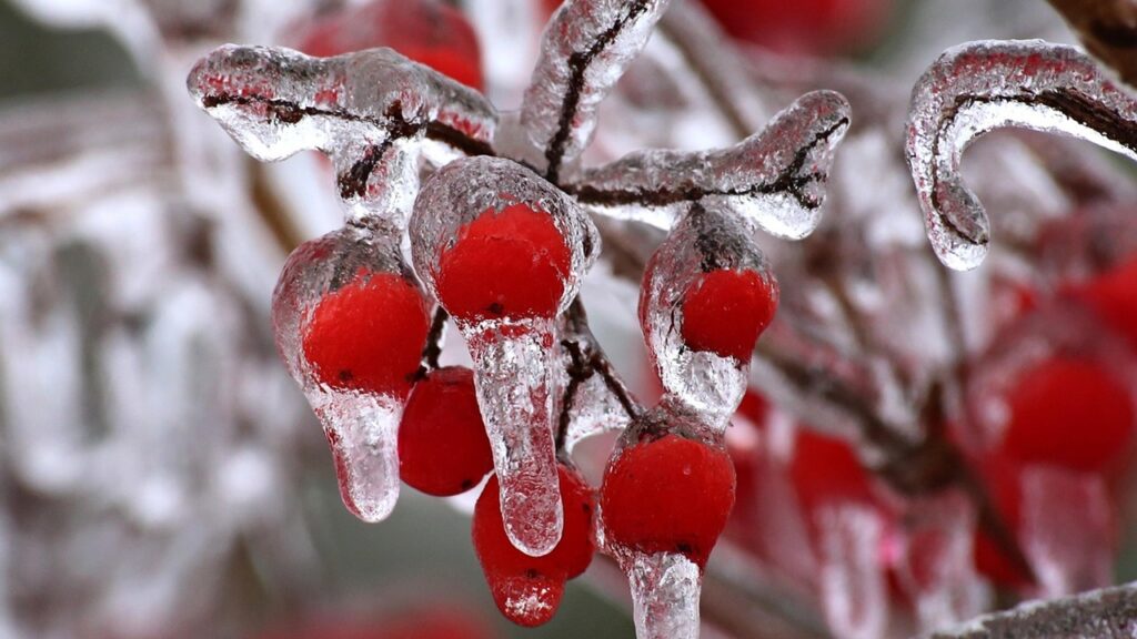 Perché è una buona idea mettere delle bottiglie di acqua calda in giardino