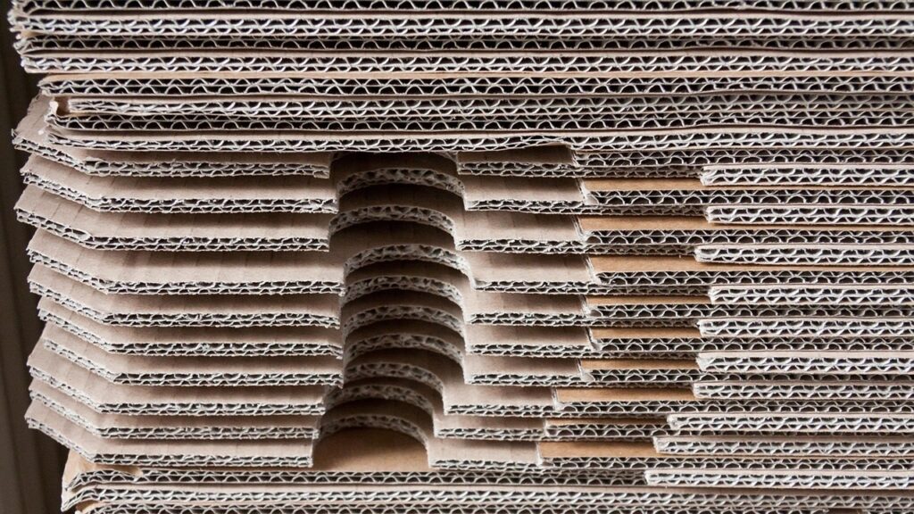 Su TikTok spopola la tecnica di giardinaggio “senza scavare”: procuratevi subito del cartone!