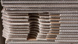 Su TikTok spopola la tecnica di giardinaggio “senza scavare”: procuratevi subito del cartone!