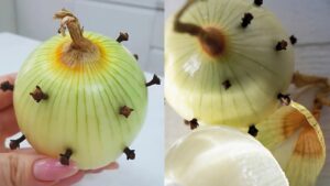 Chiodi di garofano e cipolla: un rimedio antico e i suoi benefici moderni