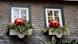 Piante e luci di Natale non vanno d’accordo: ecco cosa fare