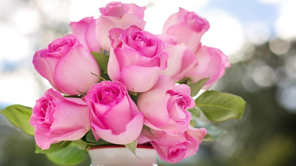 Come aiutare le rose recise ad aprirsi dopo essere state tagliate