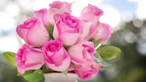 Come aiutare le rose recise ad aprirsi dopo essere state tagliate