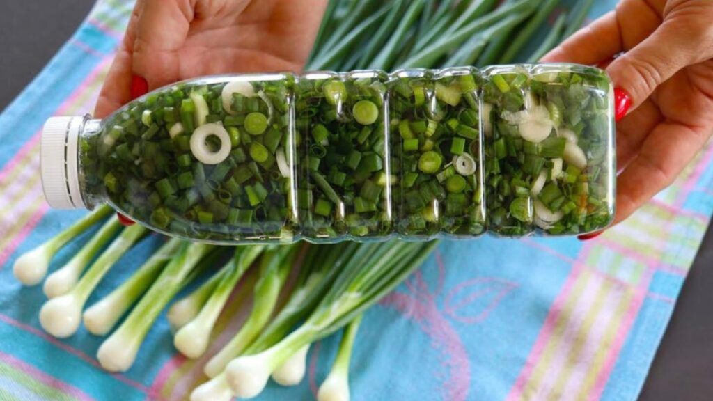 Cipollotto tutto l’inverno: due tecniche originali per conservarli