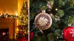 Tradizione, sostenibilità e futuro: l’albero di Natale che aiuta il pianeta