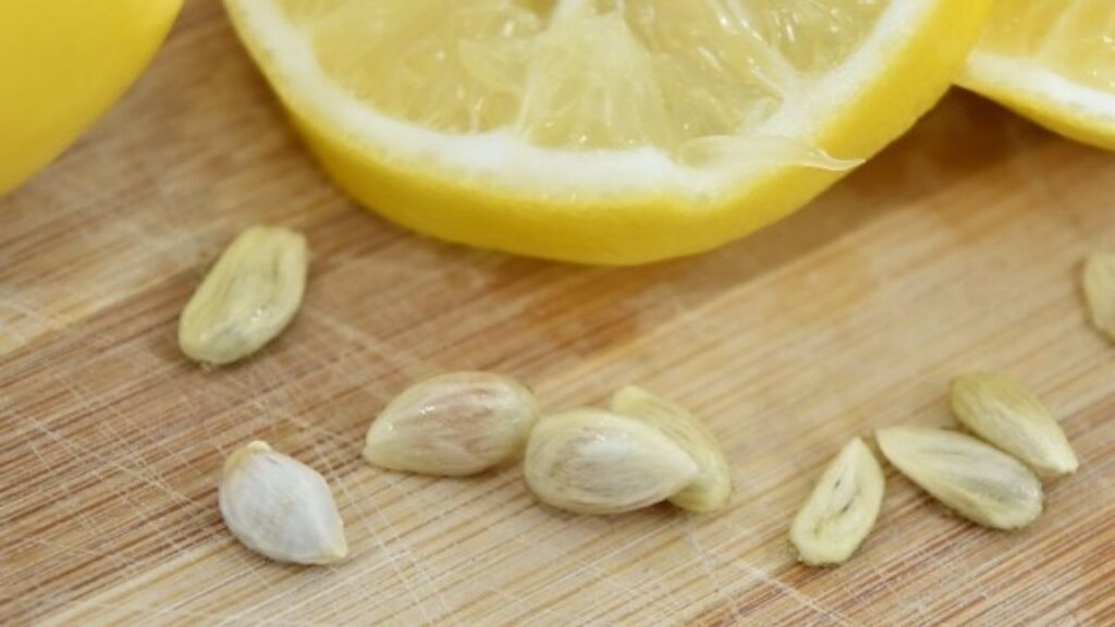 Semi del limone