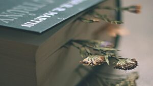 I migliori fiori da pressare fra le pagine dei libri