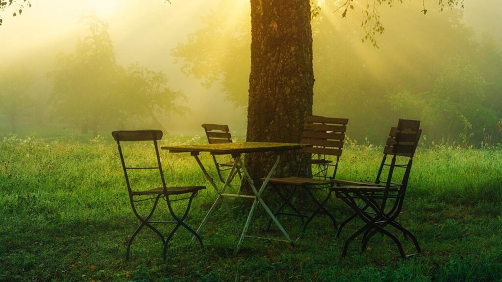 Prima che arrivi l’inverno, meglio riporre questi oggetti che ingombrano il giardino