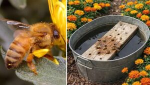 Perché costruire una barchetta per le api porta benefici nel proprio angolo verde