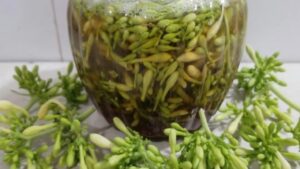 I fiori maschili di Papaya: poco noti ma ricchi di composti benefici