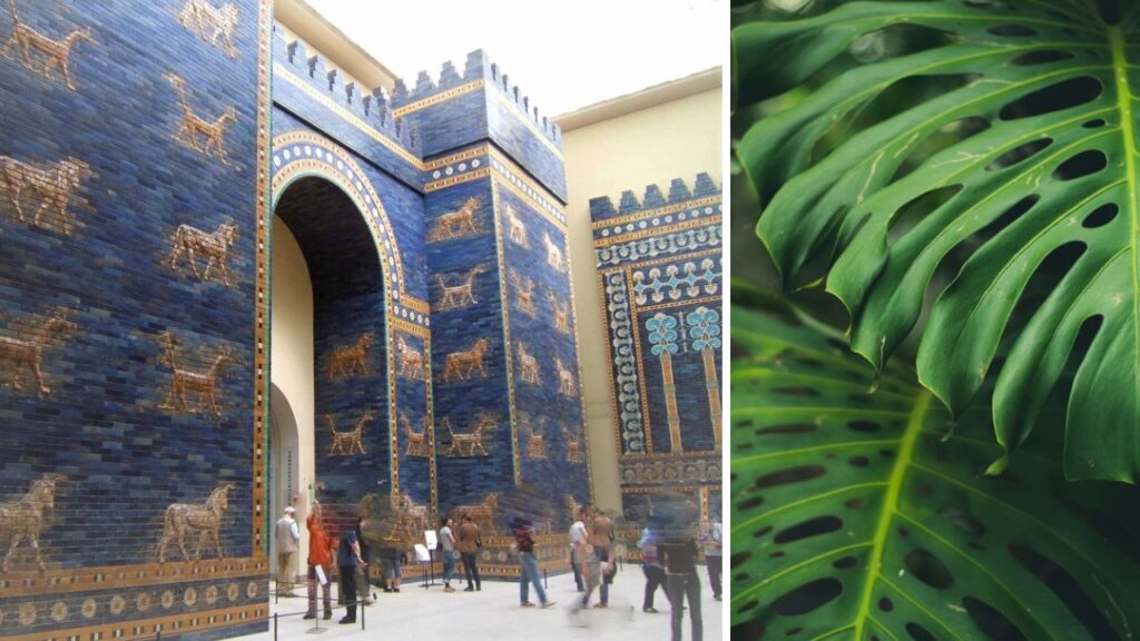 Giardini di Babilonia