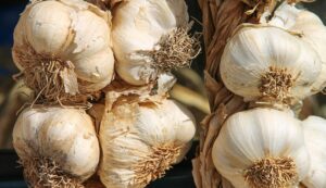 Come preparare l’aceto aromatizzato con aglio e alloro per aiutare le difese immunitarie