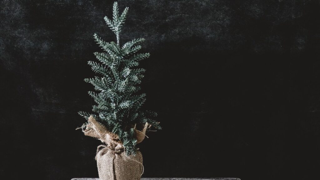 Tecnica facile e veloce per compostare l’albero di Natale vero