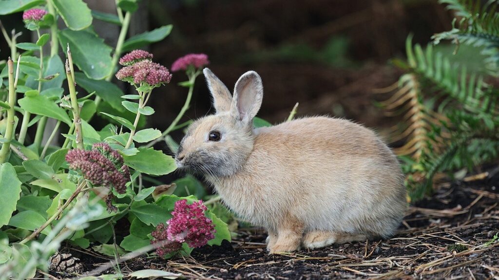 Giardini difficili? Per ogni spazio esterno problematico ci sono le giuste piante da abbinare