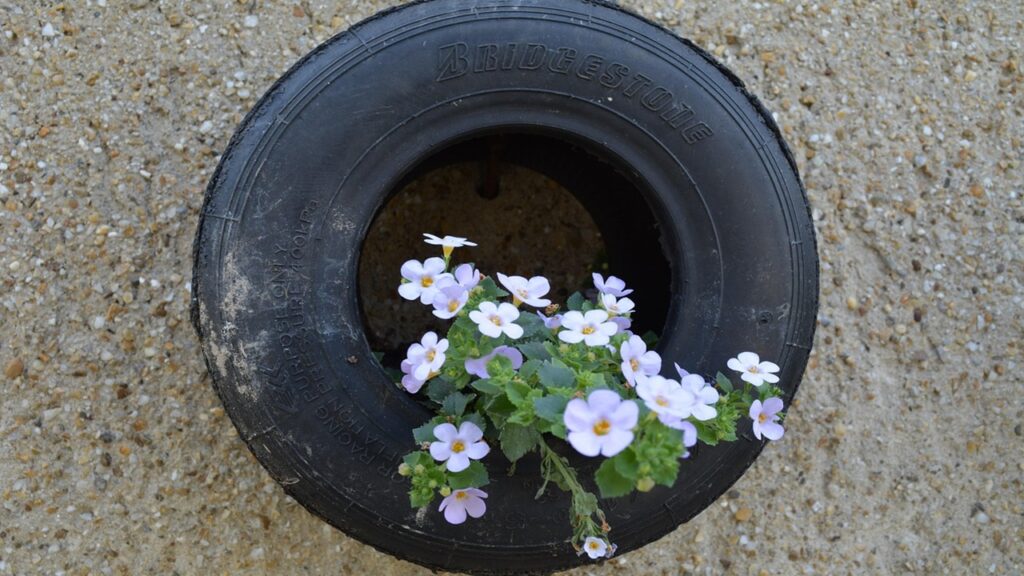 Coltivare frutta e verdura nei vecchi pneumatici delle auto è sicuro?