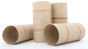 Dovete far germogliare i semi? Provate con i rotoli di carta igienica