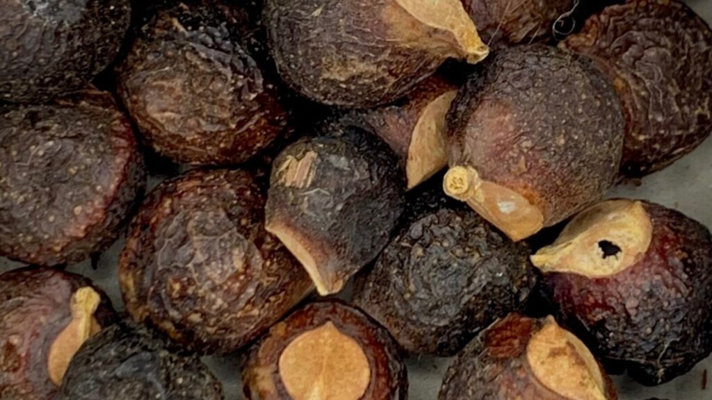 Noci con tensioattivi