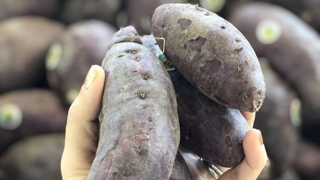 Aiuole rialzate: provate a piantare queste verdure