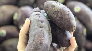 Aiuole rialzate: provate a piantare queste verdure