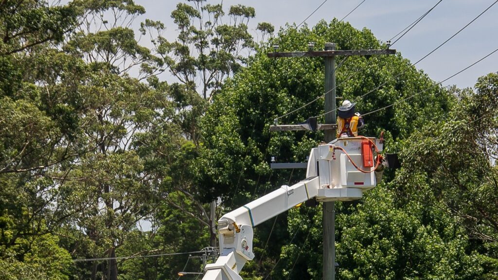 Si possono piantare gli alberi vicino alle linee elettriche?