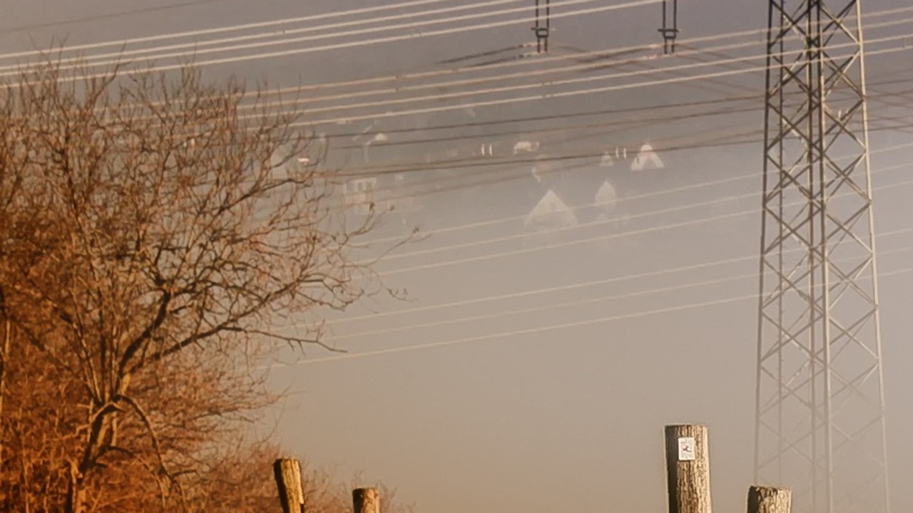 alberi linee elettriche