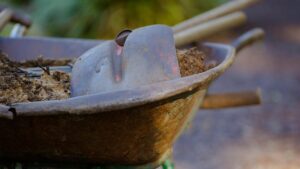 Come alcalinizzare un terreno troppo acido?