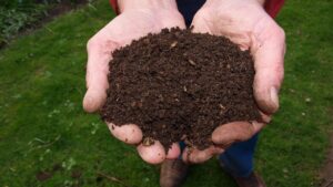 I 3 vantaggi dell’uso del compost senza torba