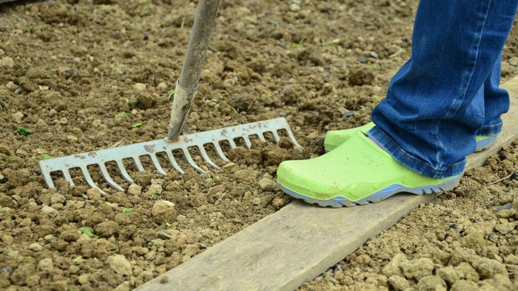 Quando iniziare a seminare le verdure all’aperto?