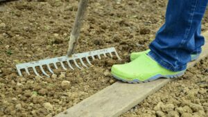 Quando iniziare a seminare le verdure all’aperto?