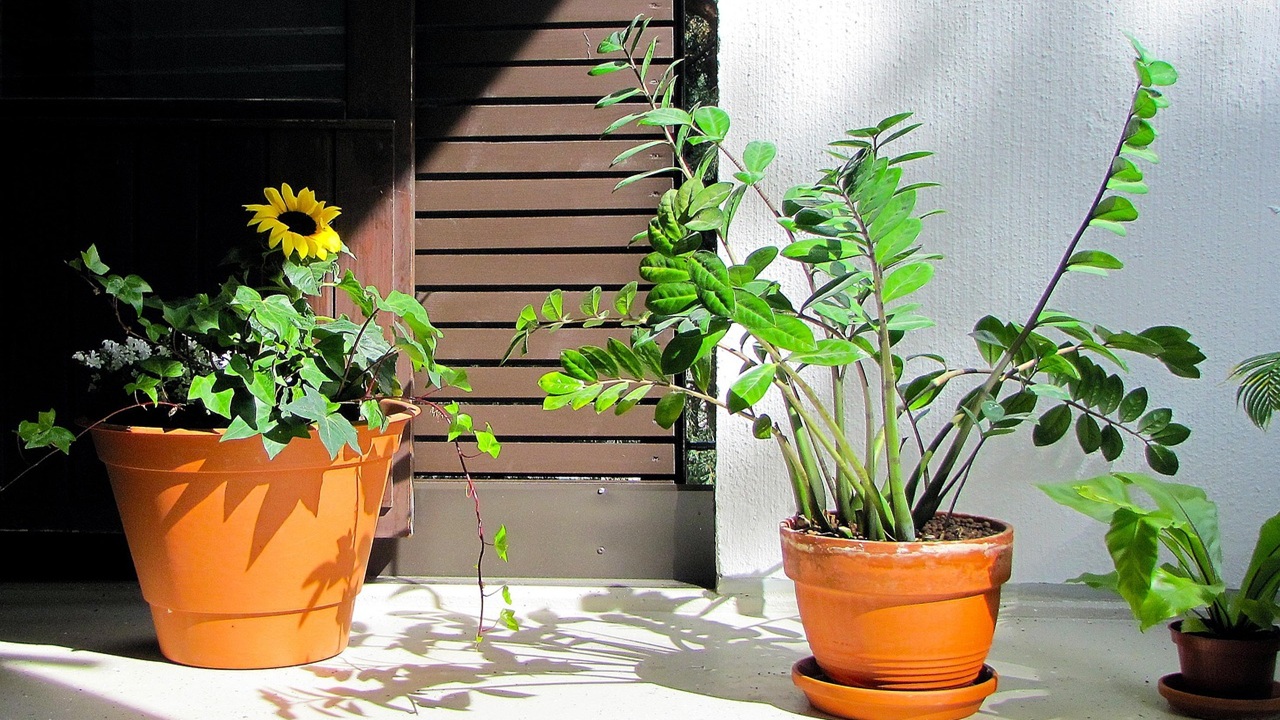 balcone sole